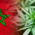 Legalization of Beldia Cultivation in Morocco