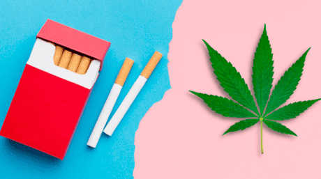 Cannabis and Cigarettes