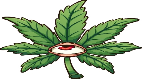 marijuana glaucoma treatment