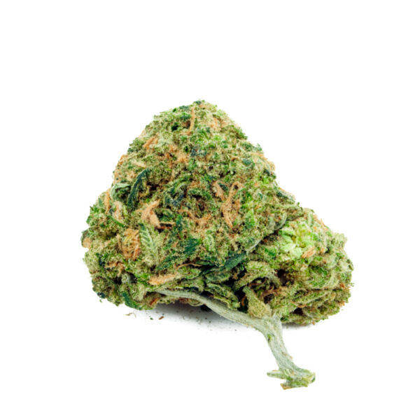 Slurricane Feminized Weed Seeds