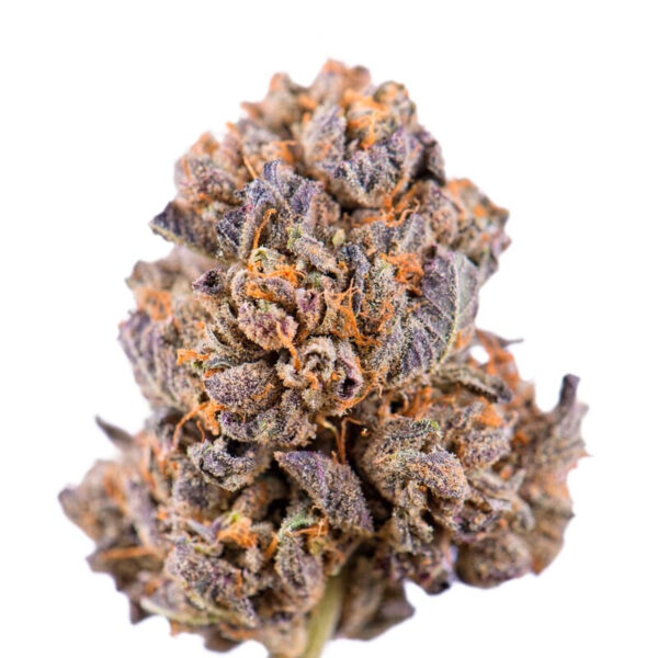 Caramelicious ® Regular Seeds - Image 3