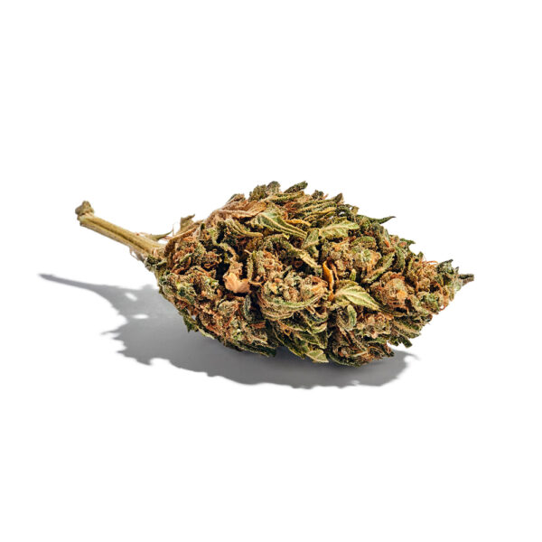 Gushers Feminized Seeds - Image 3