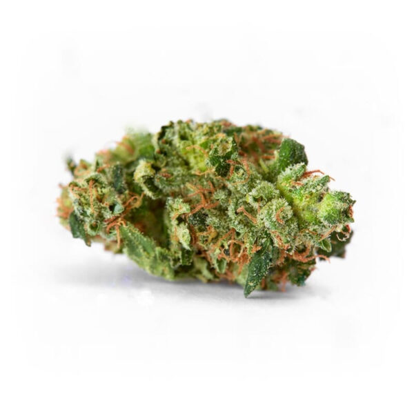 AK 47 XTRM ® Feminized Seeds - Image 2