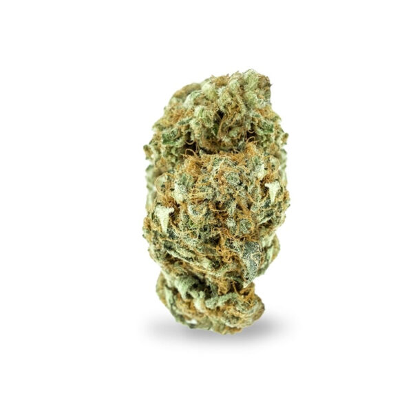 Supernova Feminized Seeds - Image 2