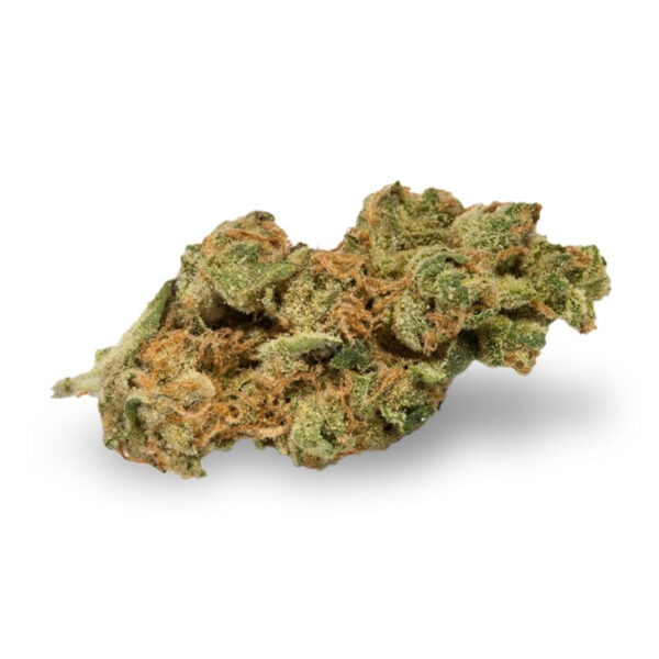 New York Turbo Diesel Feminized Seeds - Image 2