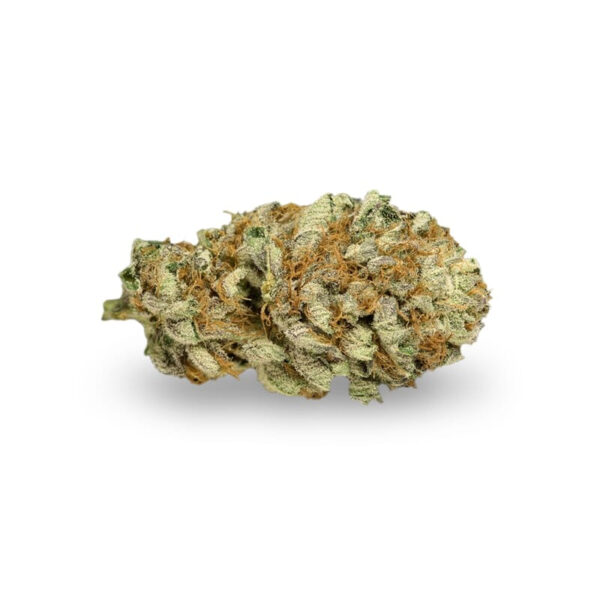 Master Kush Regular Seeds - Image 2