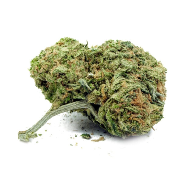 Matanuska Thunder XTRM ® Feminized Seeds - Image 2