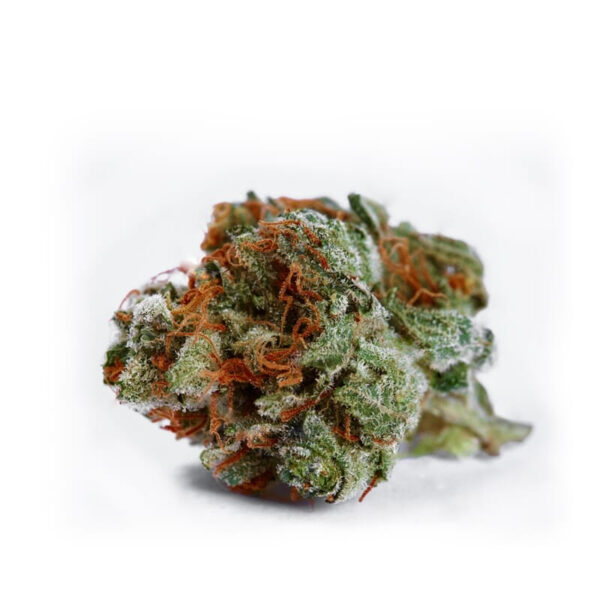 Bianca Feminized Seeds - Image 2