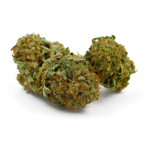 Narco Feminized Seeds - Image 3