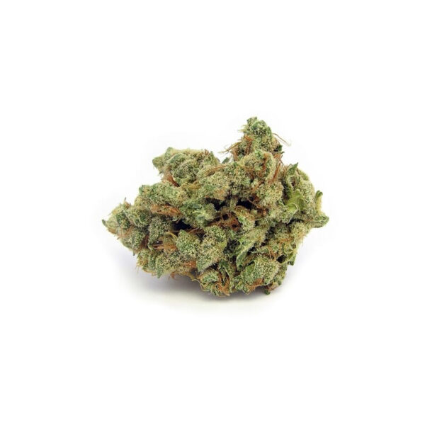 Crystal Rain Regular Seeds - Image 2
