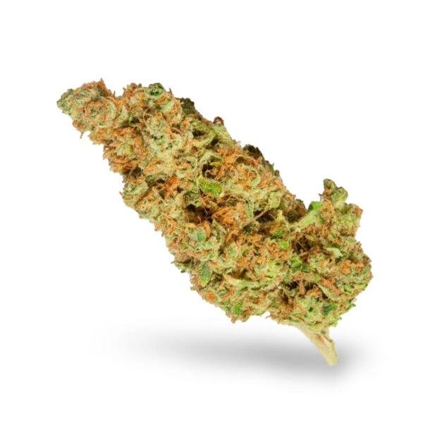 White Widow Feminized Seeds - Image 3