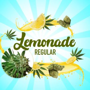 Lemonade Regular Marijuana Seeds