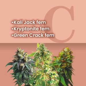 Heavy Duty Feminized Combo