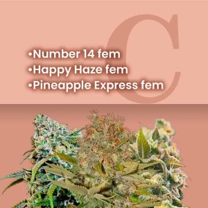 Indoor Growing Feminized Combo