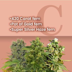 Silver and Gold Feminized Combo