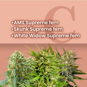 Supreme Feminized Combo