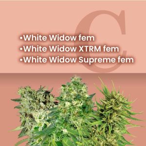 White Widow Feminized Combo